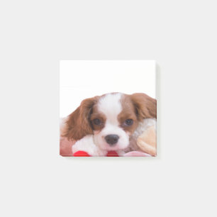 Post-it® Puppy Cavalier King Charles Spaniel Post It Notes