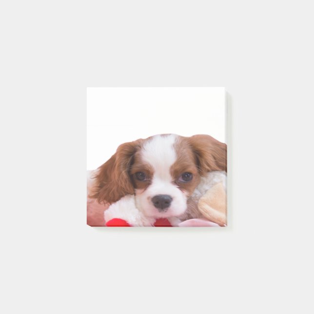 Post-it® Puppy Cavalier King Charles Spaniel Post It Notes (Devant)