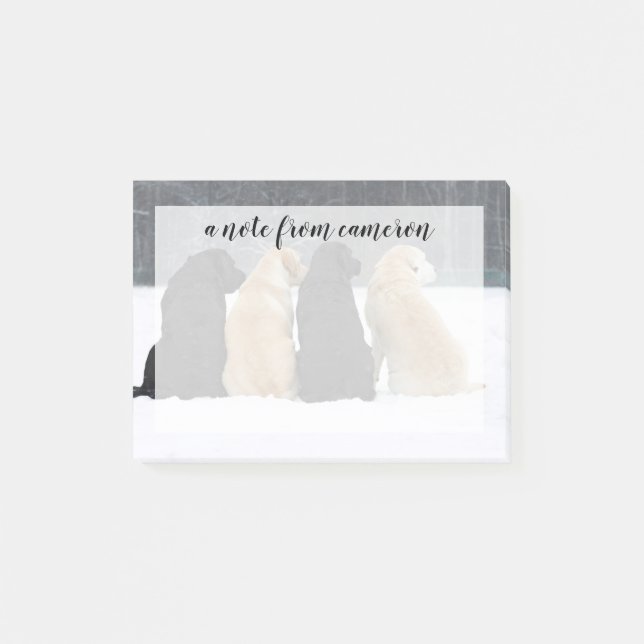Post-it® Quatre Chiens du Labrador en neige (Devant)