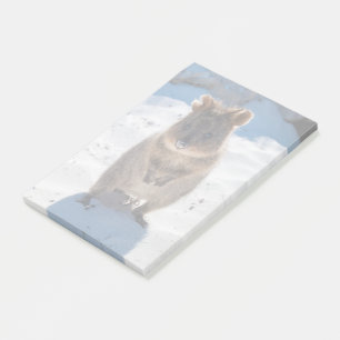 Post-it® Quokka sur la plage en Australie