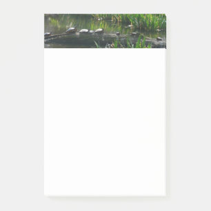 Post-it® Rangée de tortues photo de la nature verte
