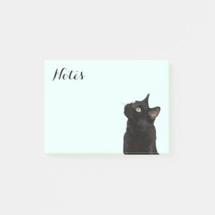 Post-it® Ranger le chat noir