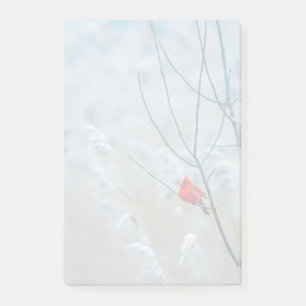 Post-it® Red Cardinal dans Winter Nature Photo de Christmas