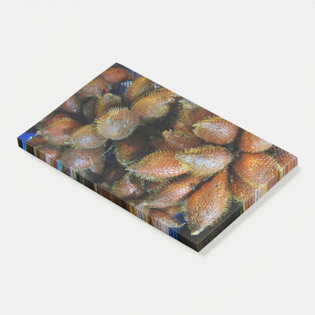 Post-it® Salak [Fruit du Serpent] (Incliné)