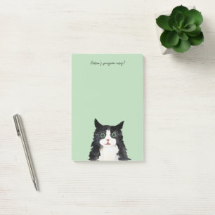 Post-it® Scruffy tuxedo cat