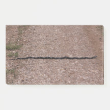 Serpent de Rat