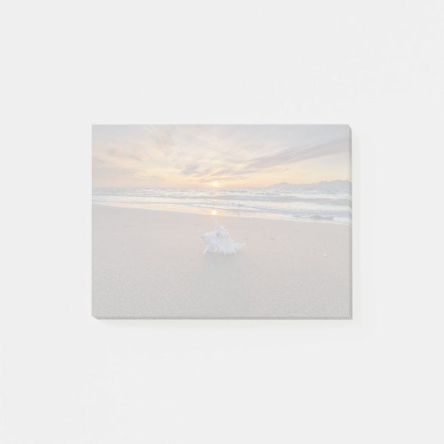 Post-it® Shell à la plage à l'île du coucher du soleil | (Devant)