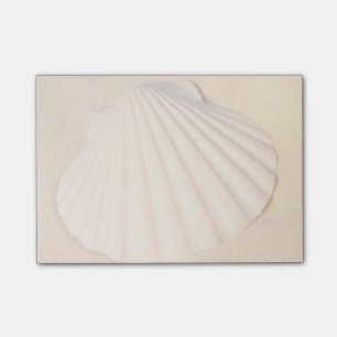 Post-it® Shell s'étendant en sable