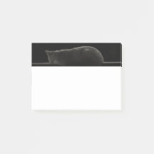 Silhouette Chat couché