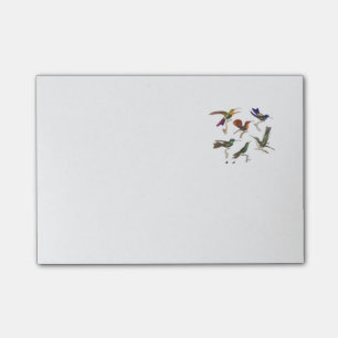 Post-it® Six colibris colorés
