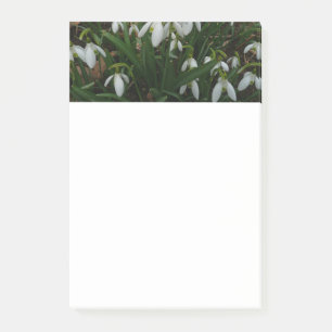 Post-it® Snowdrops I