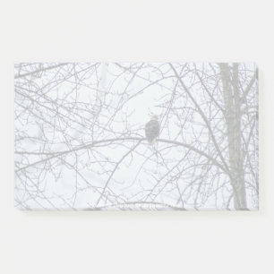 Post-it® Surveillance