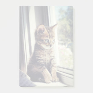 Post-it® Tabby Kitten