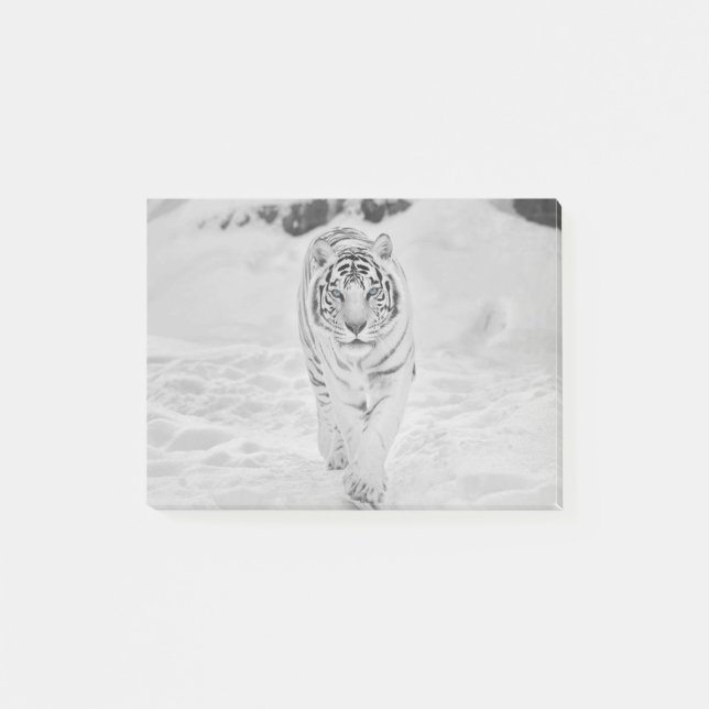 Post-it® Tigre blanc de 🐅 (Devant)