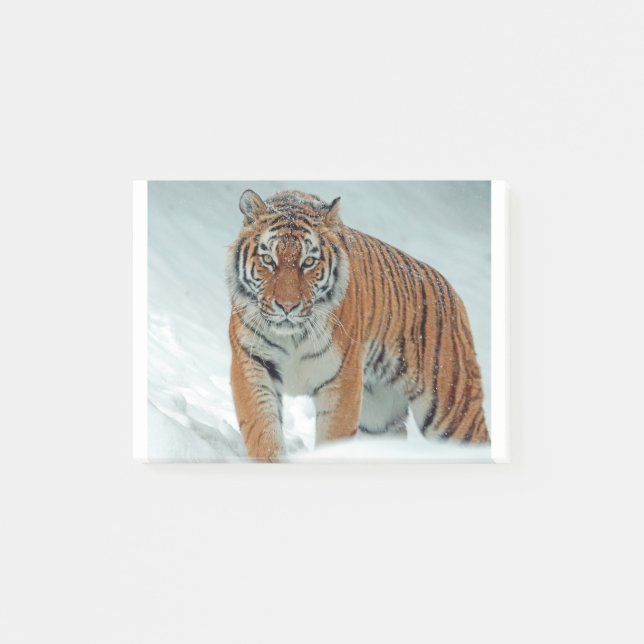 Post-it® Tigre de Sibérie dans la neige (Devant)
