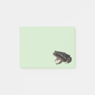 Post-it® Toad