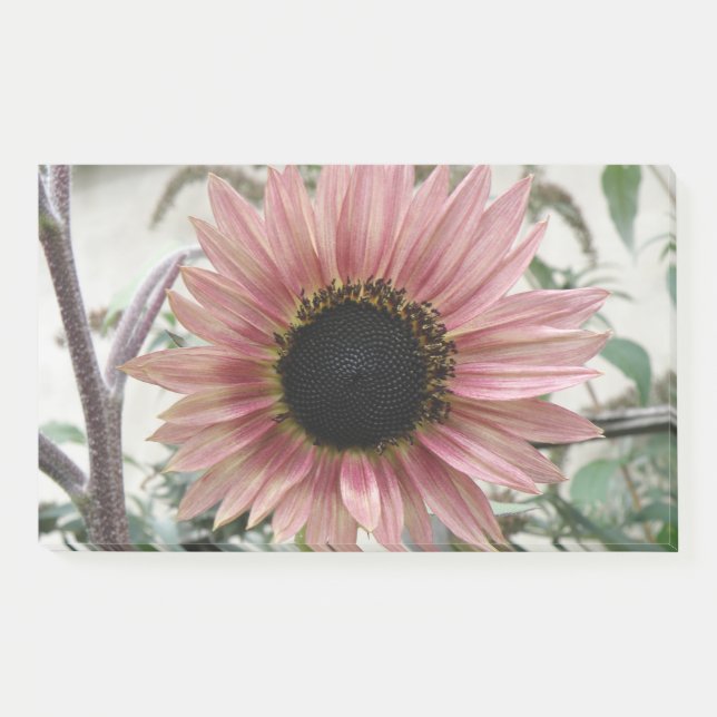 Post-it® Tournesol rose pâle (Devant)