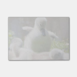 Post-it® Trois canetons de jeune cygne de cygne de bébé