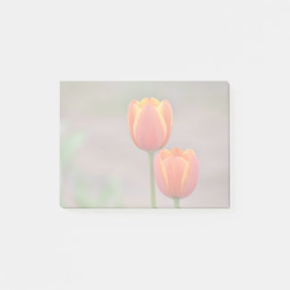 Post-it® Tulip Sticky Notes