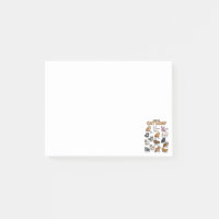 Types de chat en boule Chaton mignon Chats kawaii