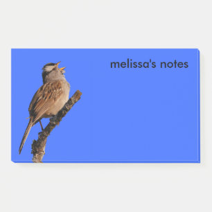 Post-it® Un Bruant à tête blanche chante au soleil