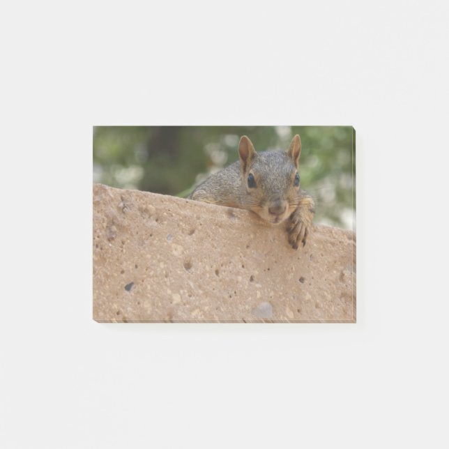 Post-it® Une noix (Note) pour vous Post-it (Devant)