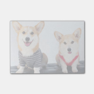 Post-it® Une paire de Corgis se reposant sur un banc