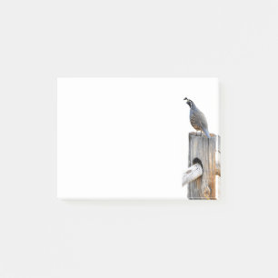 Post-it® Valley Quail Photo 4x3 Notes Papier