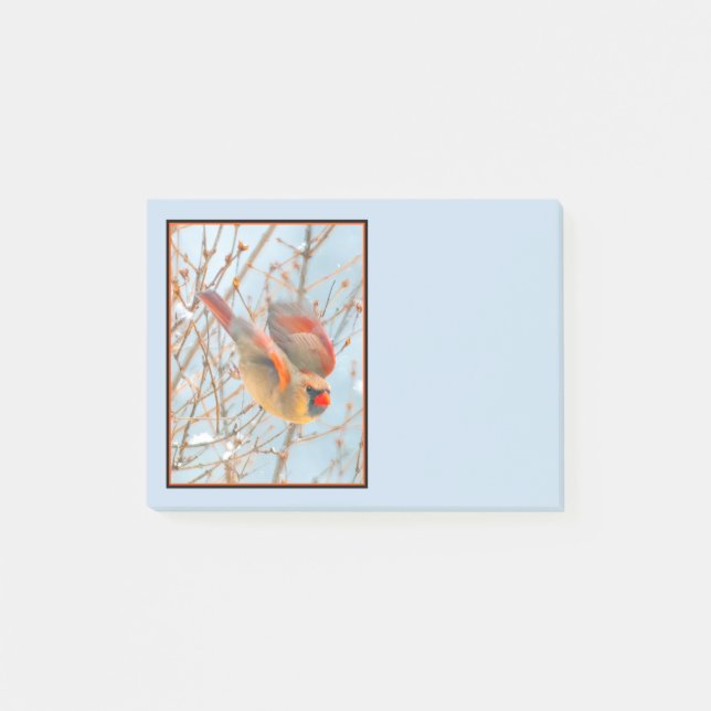 Post-it® Vol Cardinal Nord - Photo originale (Devant)