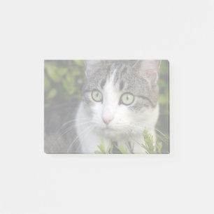 Post-it® Votre animal de compagnie photo cadeau personnalis