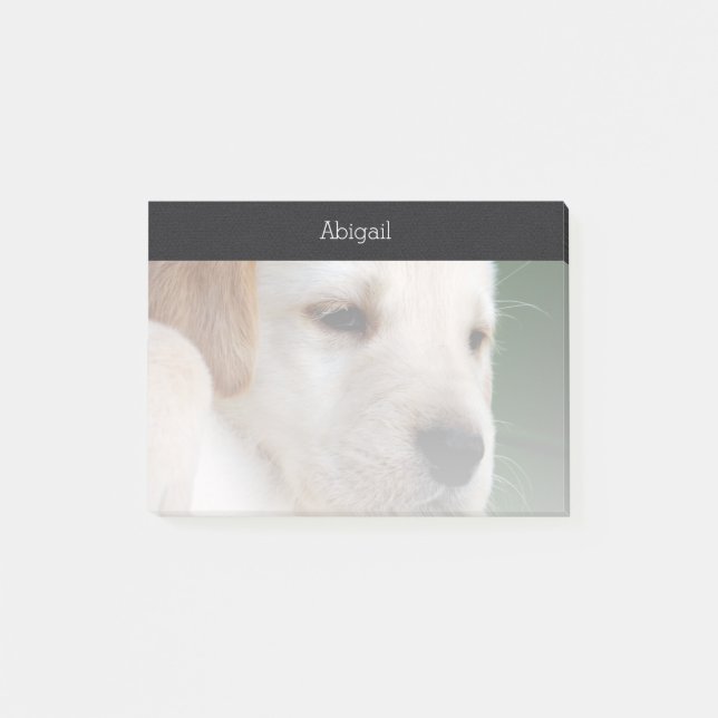 Post-it® Votre photo se fane automatiquement graduellement (Devant)