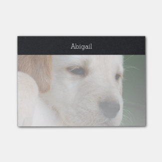 Post-it® Votre photo se fane automatiquement graduellement