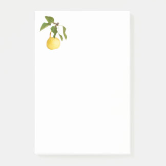 Post-it® Wild pear