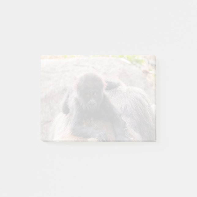 Post-it® Willie B III à Zoo Atlanta (2023) (Devant)