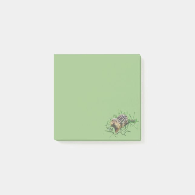 Post notiert Erdhörnchen Post-it Klebezettel (Vorderseite)