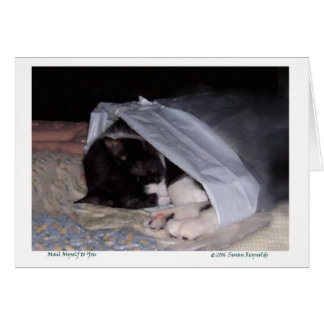 Post selbst zu Ihnen