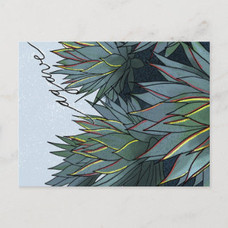 Postal Agave Mexico Souvenir Postkarte