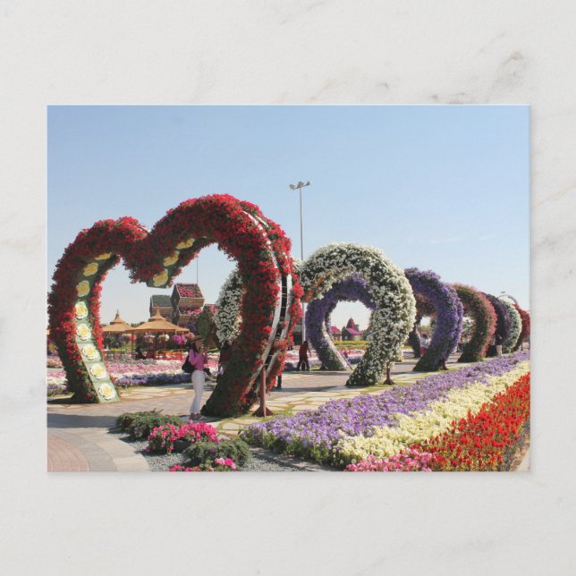 Postal Dubai Miracle Garden Postkarte (Vorderseite)