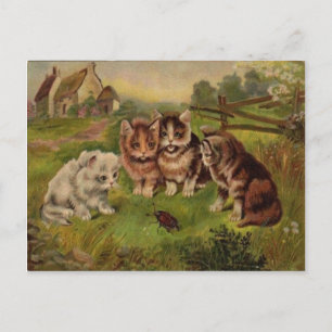 Postale 4 Chats Jouer avec le scarabée Vintage carte posta