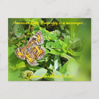Postale American Lady Butterfly est un messager, carte pos