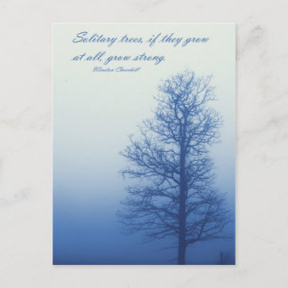 Postale Arbres solitaires se développent fortement - Carte