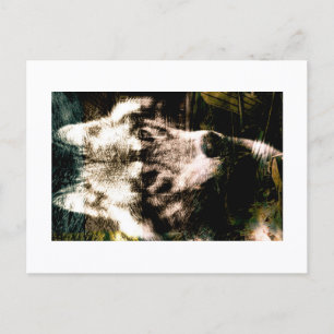Postale Art de remix numérique : Impression de carte posta