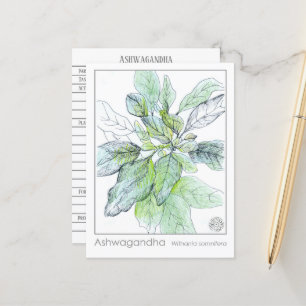 Postale Ashwagandha Materia Medica Carte d'étude sur les p
