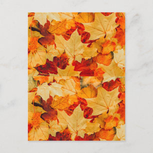 Postale Automne Feuilles de voeux Carte de voeux