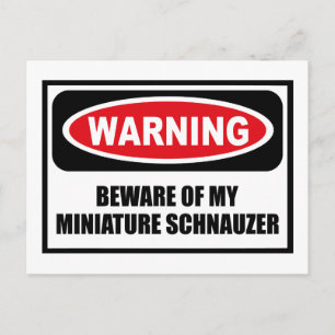 Postale Avertissement ATTENTION À MON SCHNAUZER NAIN Carte