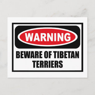 Postale Avertissement MÉFIER DES TERRIERS TIBÉTAINS Carte 