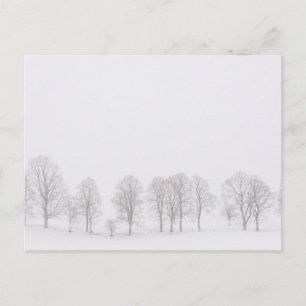 Postale Barren arboré dans le monde blanc de neige carte p