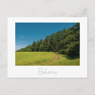 Postale Biélorussie Б л а р с Paysage naturel carte postal