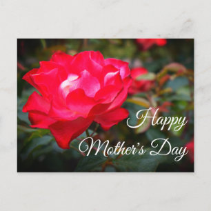 Postale Bonne fête des mères Cherry Parfait Rose #2 Carte 