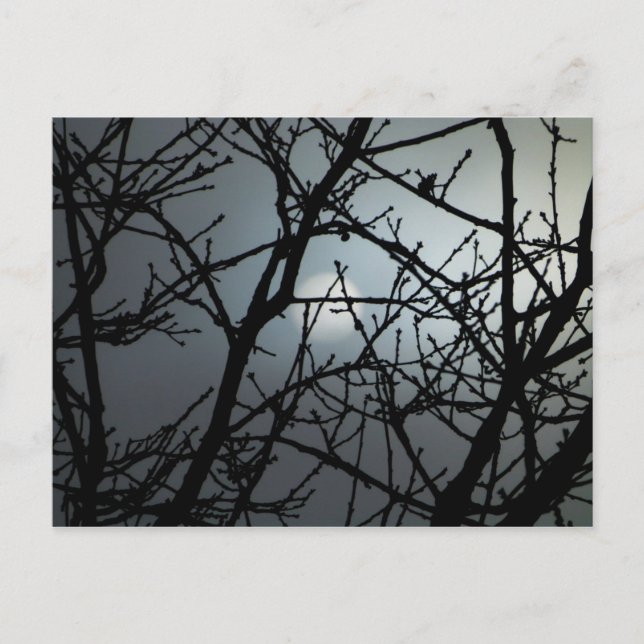 Postale Branchement Carte pour notes vide 2 (Devant)